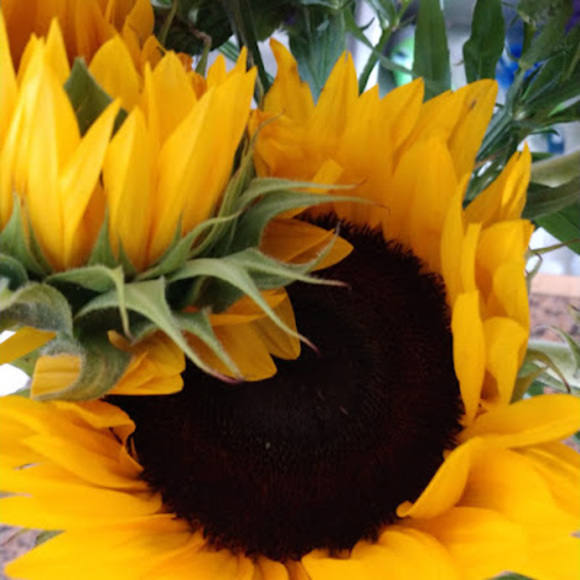 Meet your Posher, Kelley - Picture 1 of 1